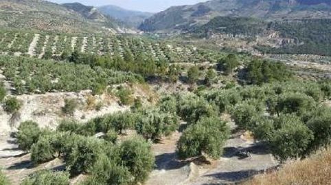 Terreno rústico en venta en pre. lietor, polig 6, Pegalajar, Jaén