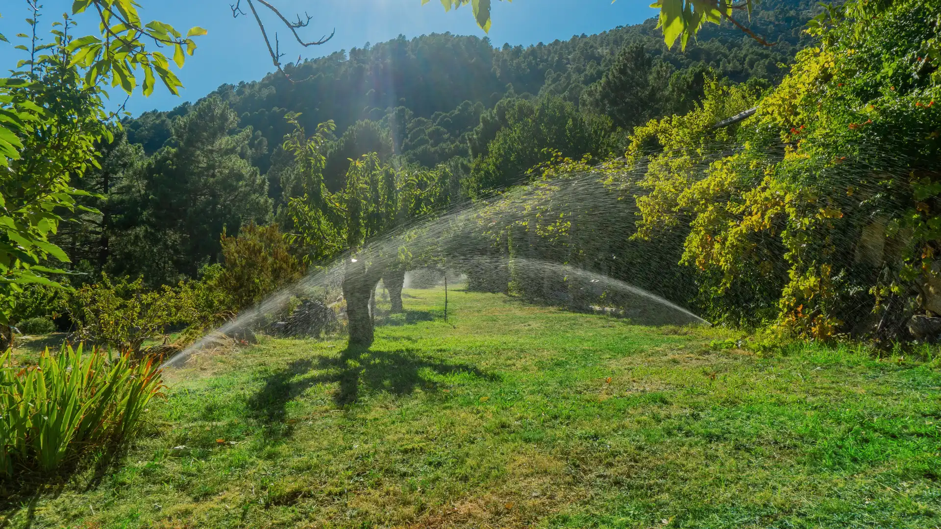 Jardí de Casa o xalet en venda en El Hornillo 