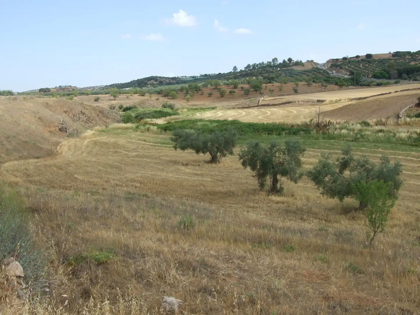 Terreni e lotti in vendita a Zafra, imagen 2