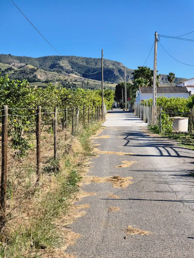 Rustikales Grundstück zum Verkauf in Álora, imagen 4