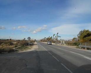 Exterior view of Country house for sale in Elche / Elx