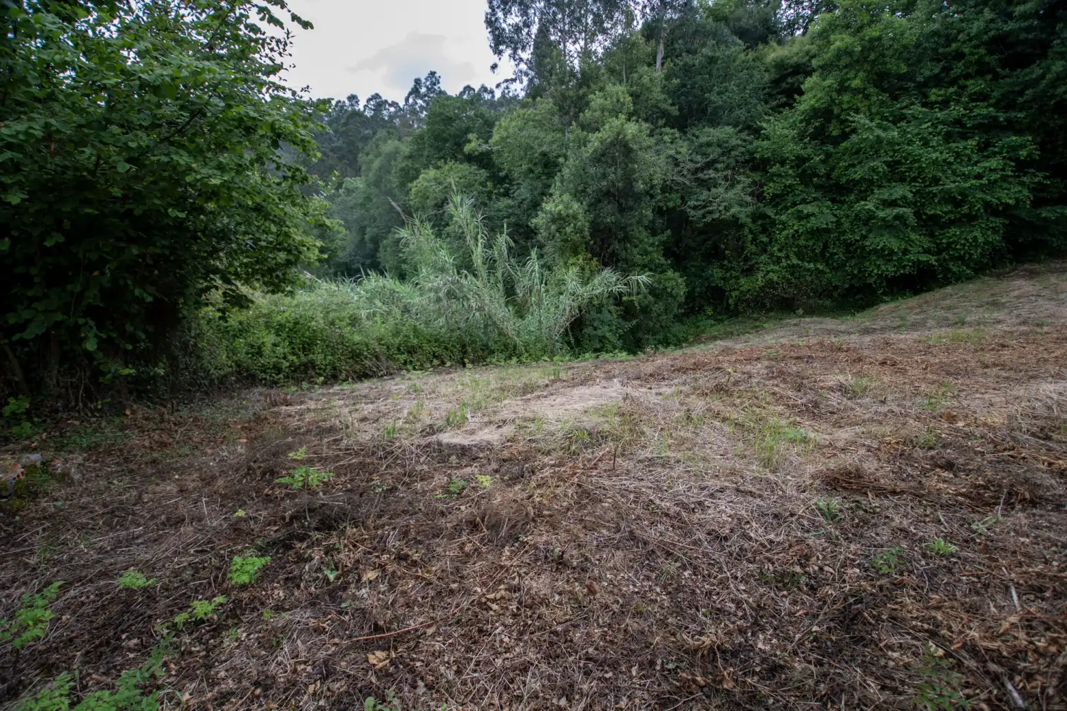 Casa a schiera con giardino in vendita a AL ACEVEDO, imagen 12