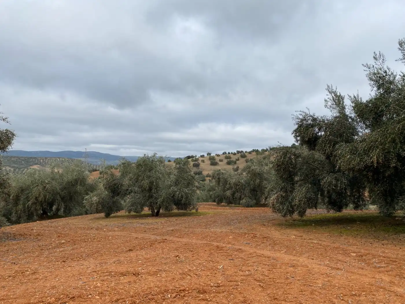 Casa rustica in vendita a Huétor Tájar, imagen 60