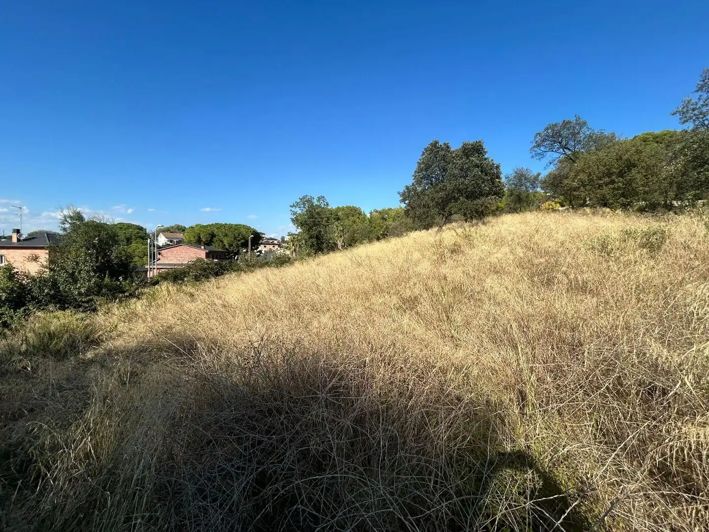 Terrain résidentiel à vendre à Carrer CEDRE, imagen 12