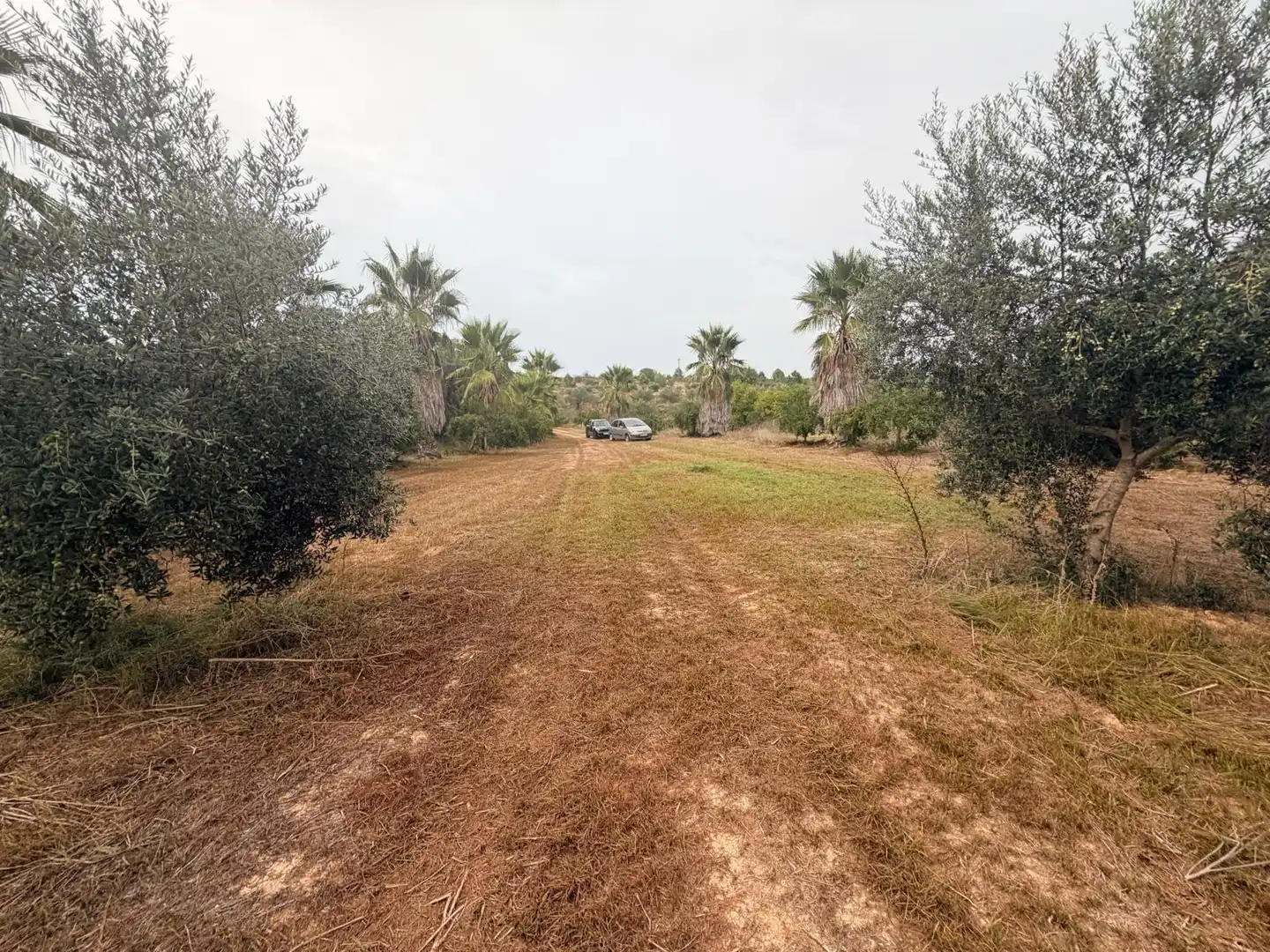 Residencial en venta en Benissoda, Valencia