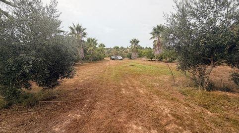 Foto 2 de Residencial en venda a Benissoda, Valencia