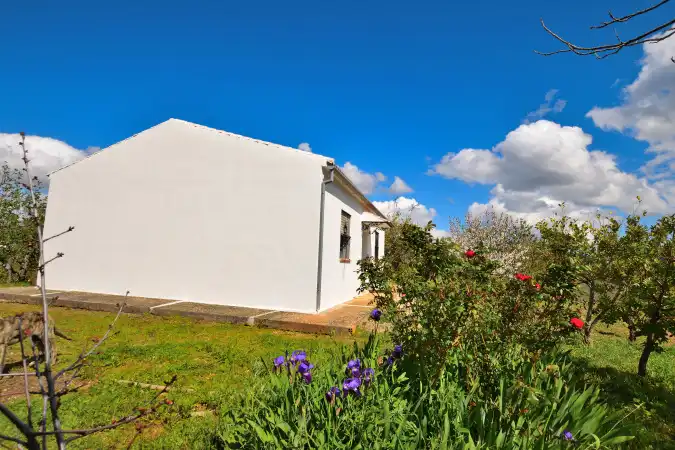 Garten von Country house zum Verkauf in Ronda mit Privatgarten