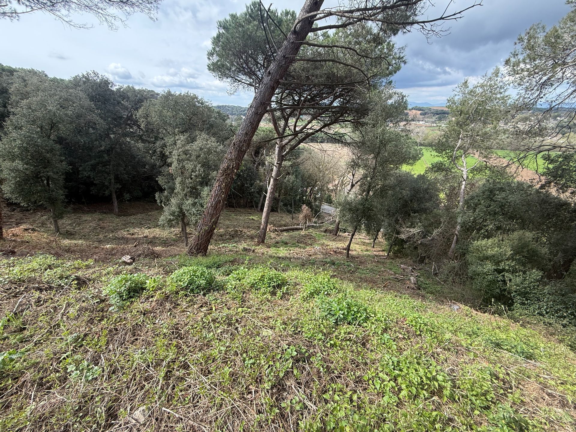 Residencial en venta