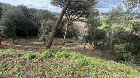 Foto 2 de Residencial en venta en La Roca del Vallès, Barcelona