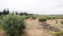 Casa o xalet en venda en L'Arboç