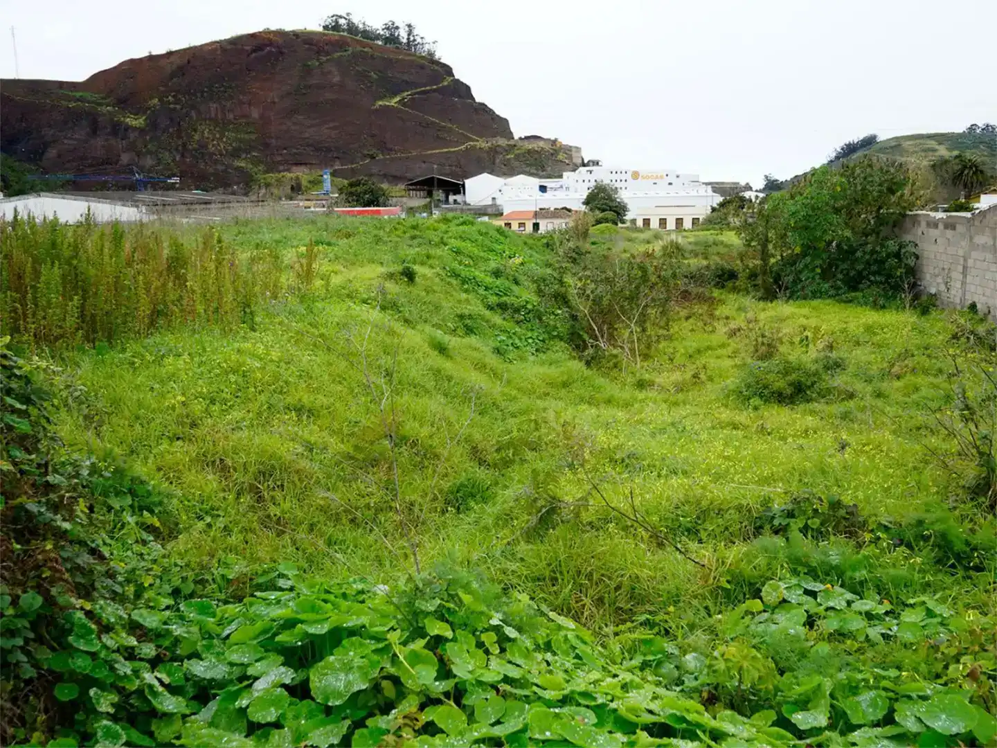 Industrial land for sale in Tacoronte