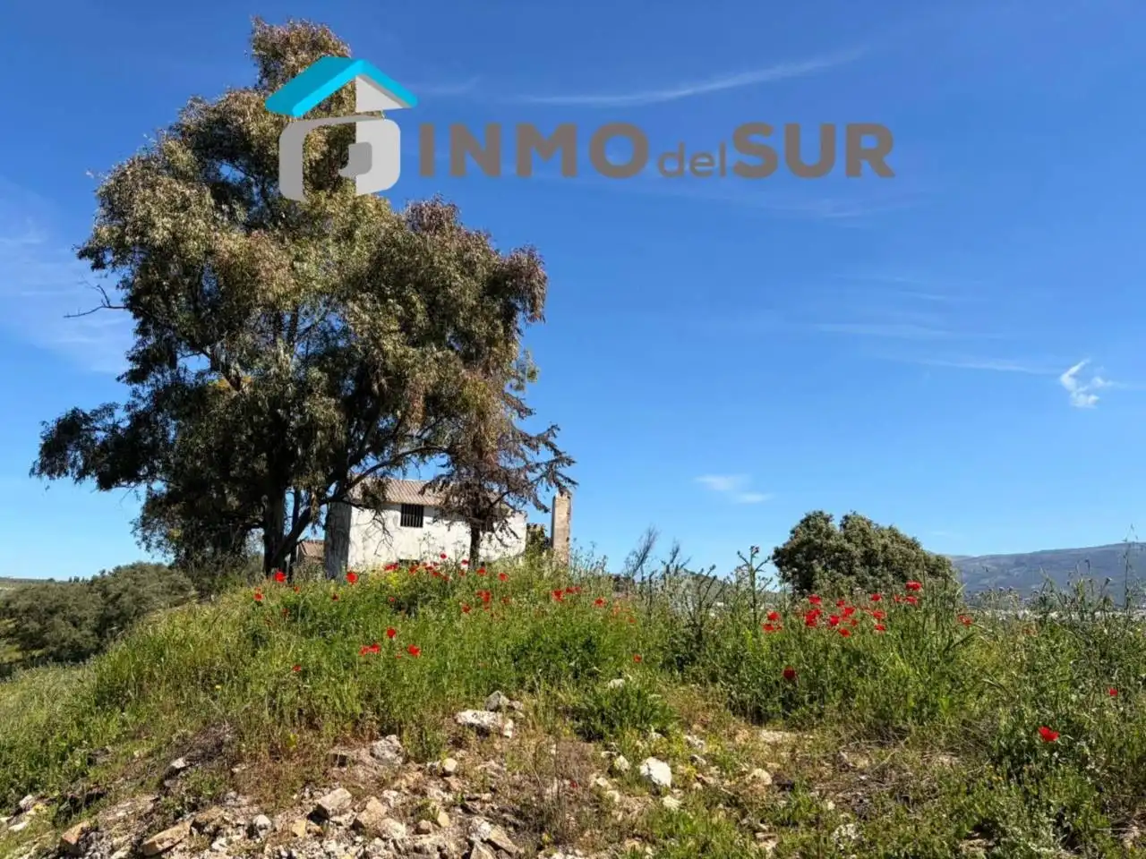 Terreno rustico in vendita a Carretera Lucena-Doña Mencía, imagen 7