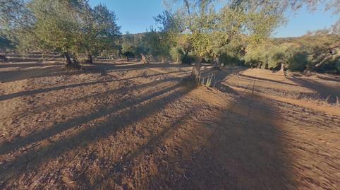 Photo 4 of Residential for sale in Obejo, Córdoba