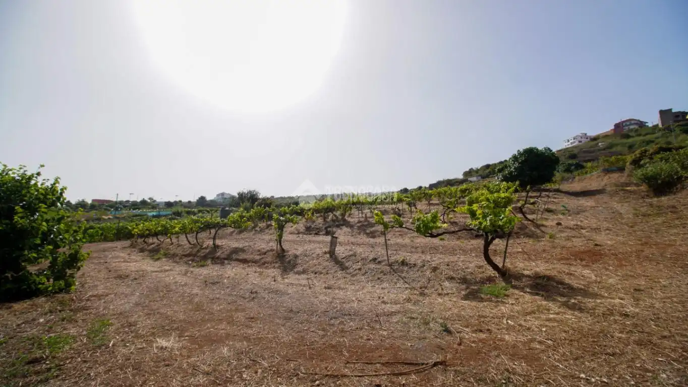Finca rústica en venta en El Sauzal