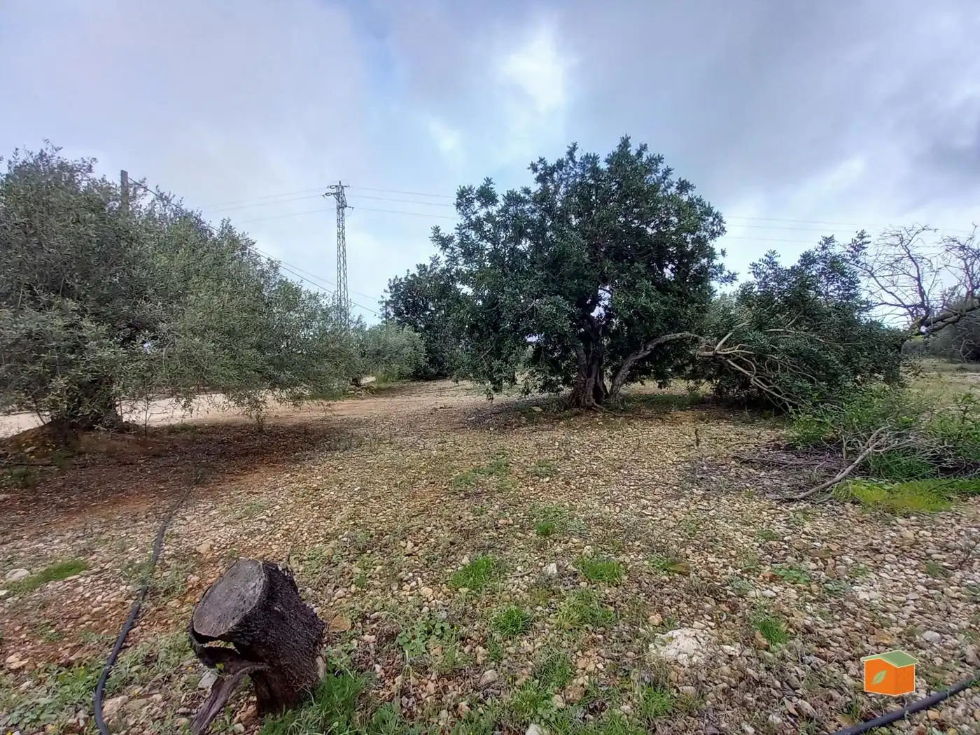 Terreno rustico in vendita a Alcanar, imagen 14