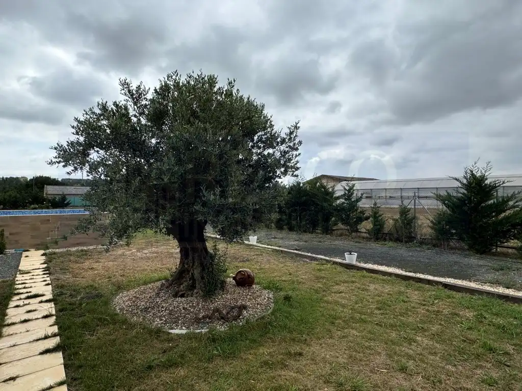 Terreno residencial en venta en Avenida Miranda, imagen 16