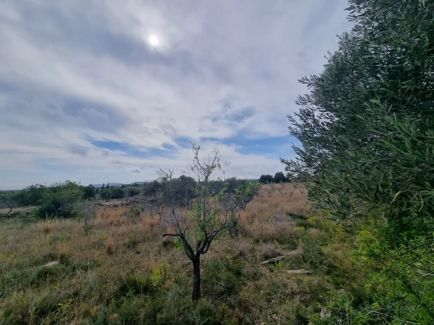 Maison rustique à vendre à L'Ametlla de Mar pueblo, imagen 4