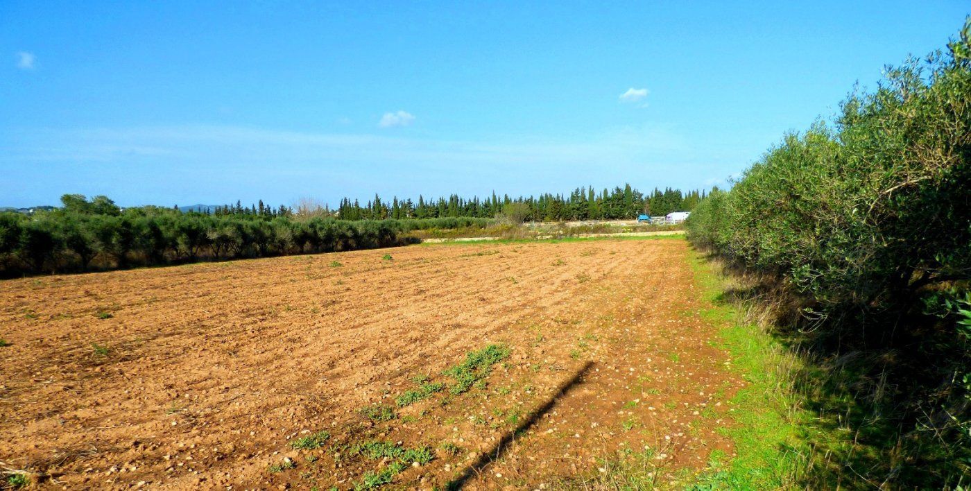 Land for sale in Santa Maria