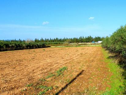 Country house for sale in Vilanova i la Geltrú