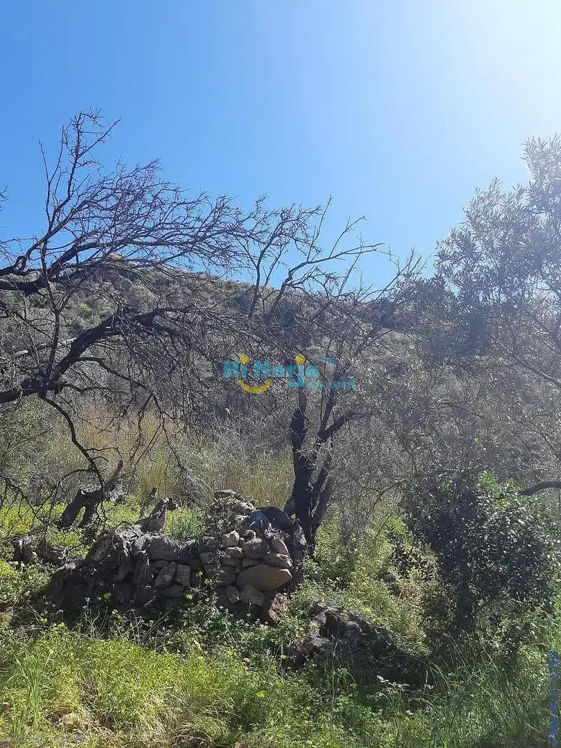 Terreni e lotti in vendita a Torrox Pueblo, imagen 20