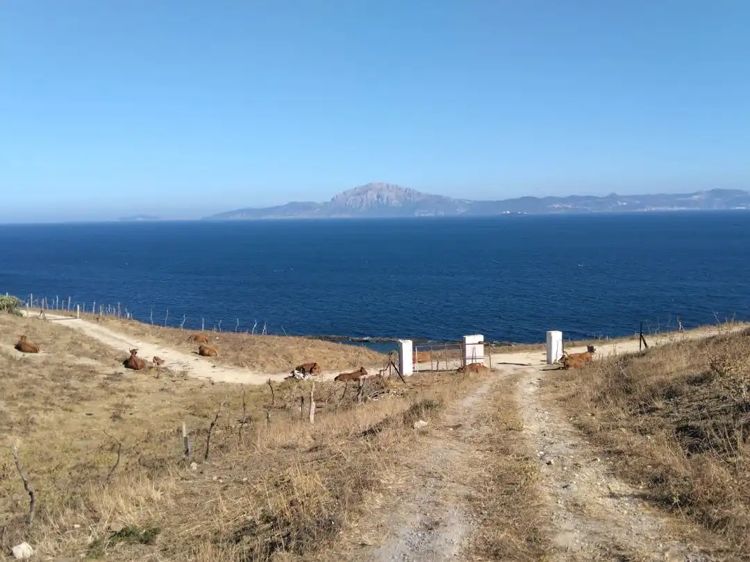 Detached house with garden to rent in Avenida de Andalucía 8, imagen 7