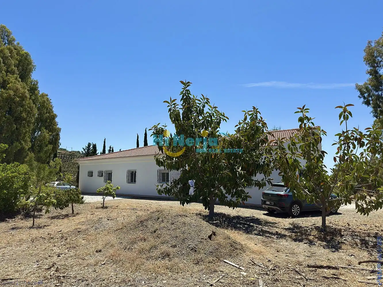 Vista exterior de Finca rústica en venta en Vélez-Málaga