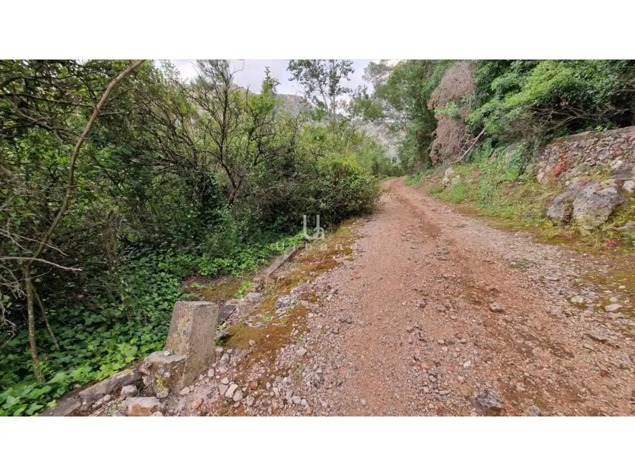 Terreny rústic en venda a Calle Casella, imagen 10