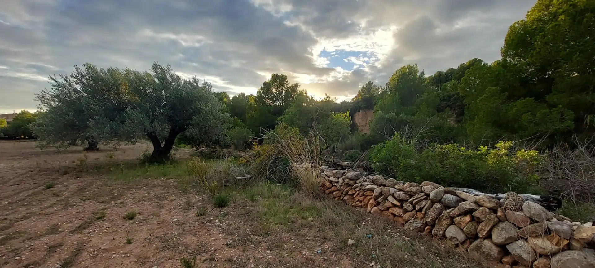 Rural land for sale in Miami Platja, imagen 4