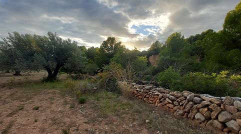 Photo 4 of Land for sale in Centre, Mont-roig del Camp