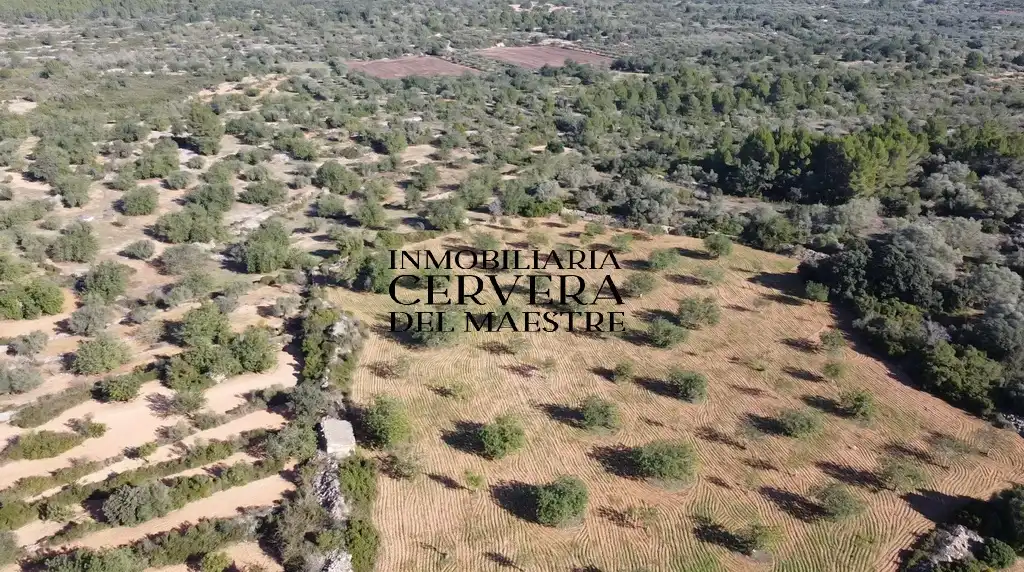 Terreno rustico in vendita a Cervera del Maestre, imagen 2