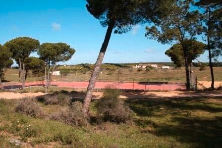 Jardín de Residencial en venta en El Rompido