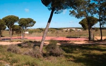 Jardí de Residencial en venda en El Rompido