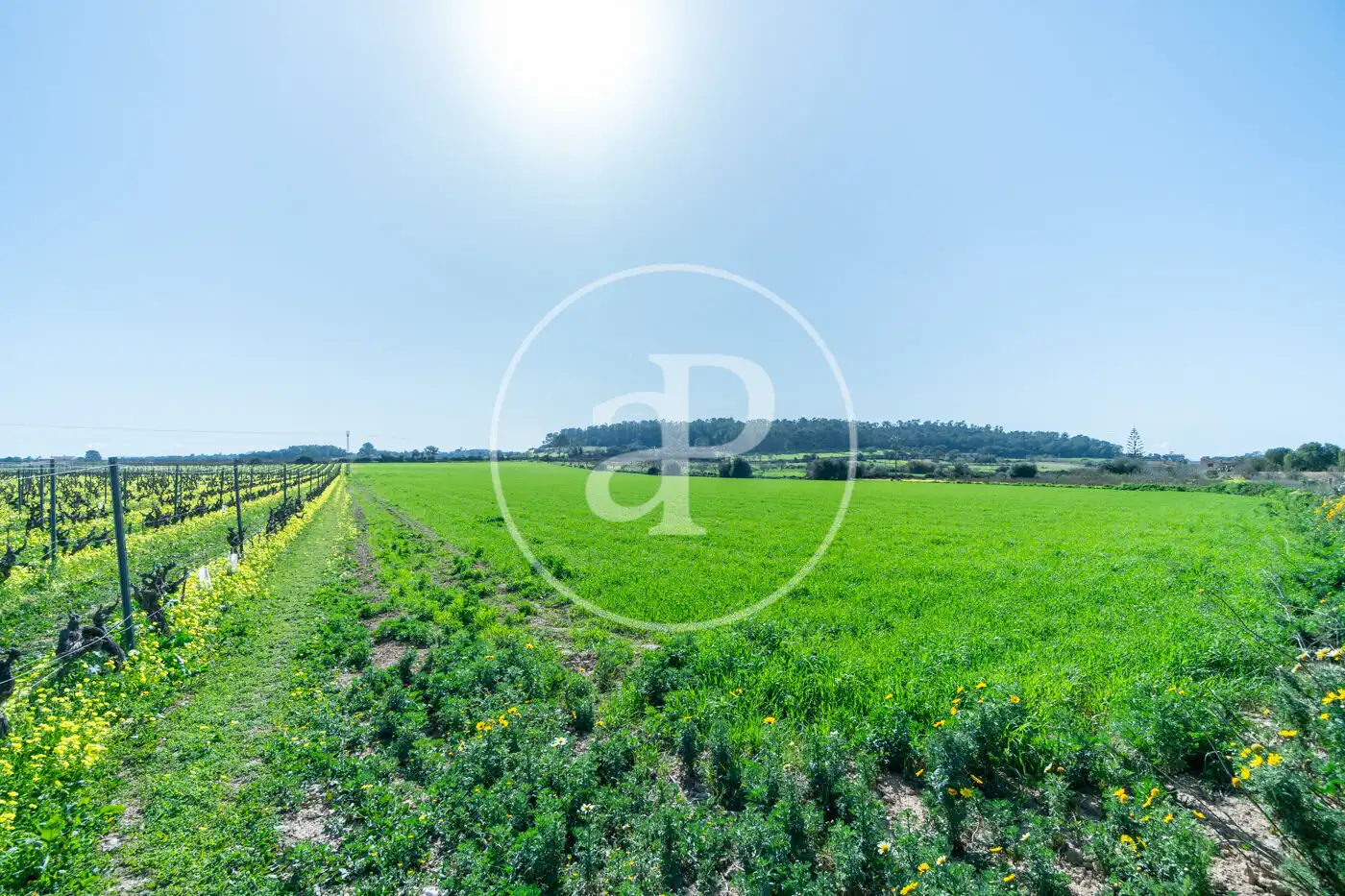 Residential for sale in Porreres