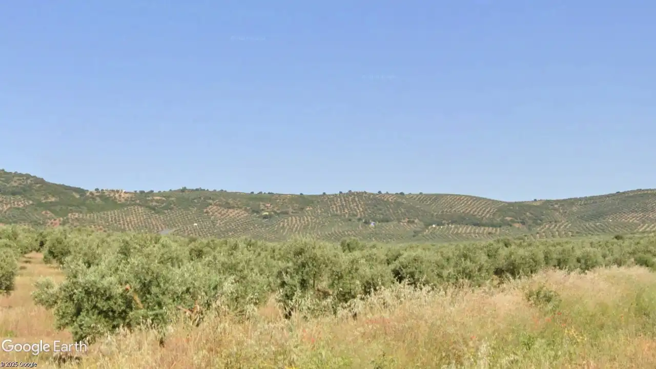 Terreno en venta en Montizón