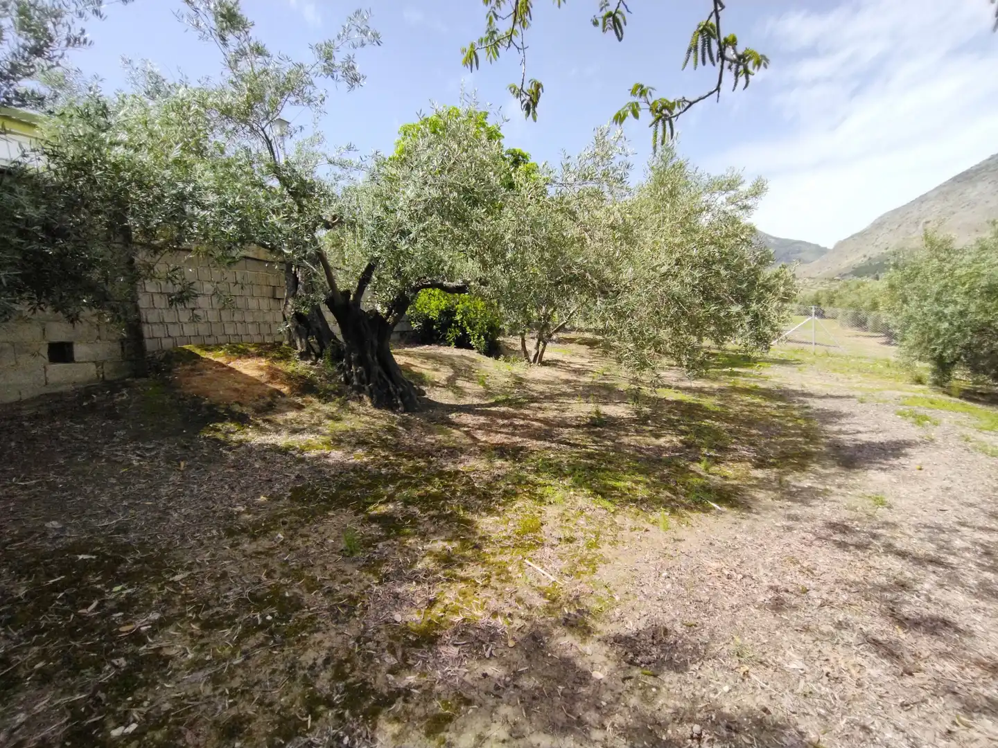 Villa mit Garten zum Verkauf in JA-3210 88, imagen 48