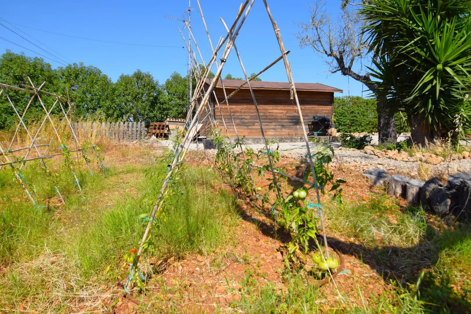 Casa rústica amb piscina en venda a Sencelles, imagen 54