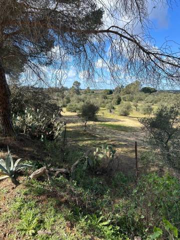 Terreno residencial en Venta en Villamanrique de la Condesa