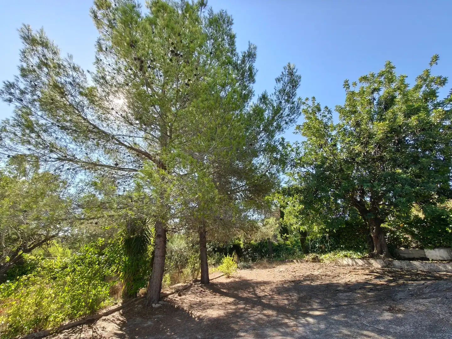Villa avec piscine à vendre à Turís, imagen 40
