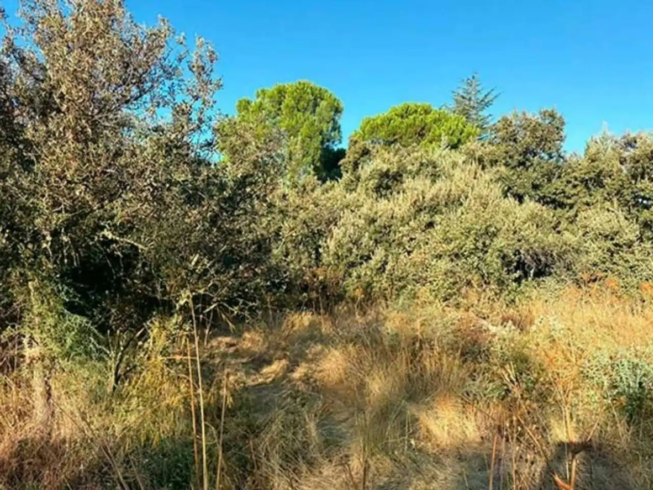 Residential for sale in Madrid