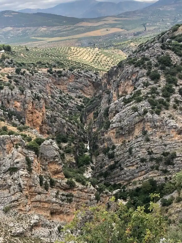 Vista exterior de Terreno en venta en Jaén