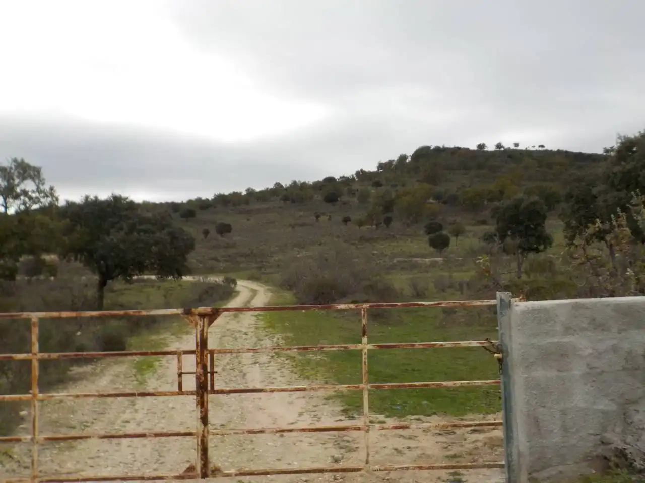 Terreno en venta en Puebla de Azaba