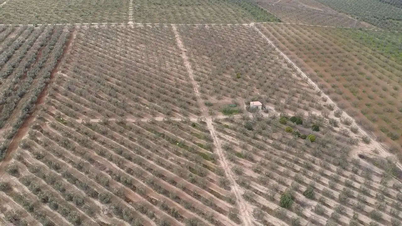 Terreno en venta en Bormujos