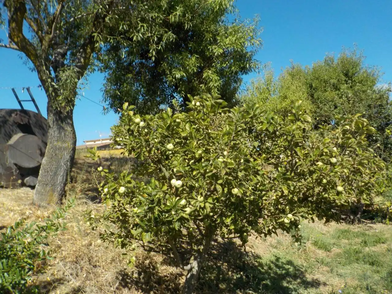 Detached house with garden for sale in Poligono 15, imagen 26