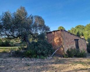 Land for sale in Benissanet