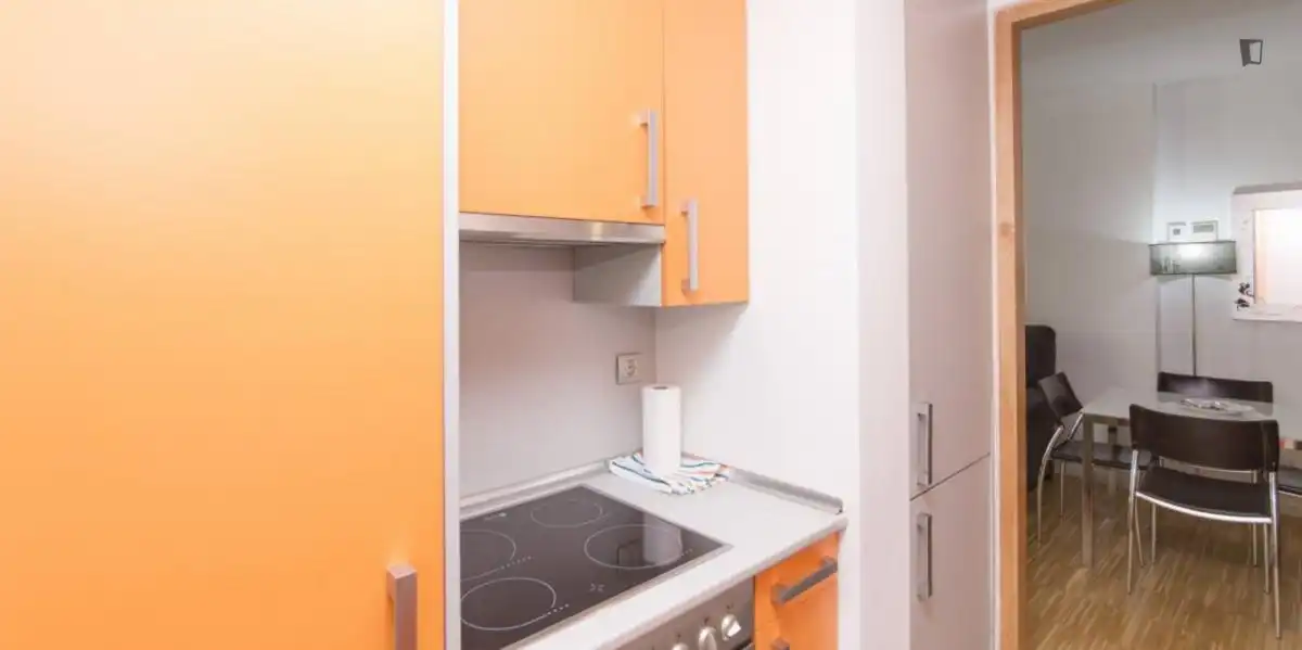 Apartamento con ascensor en alquiler en Centro, imagen 8