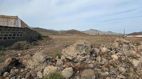 Foto 3 de Terreno en venta en Carrizal, Ingenio