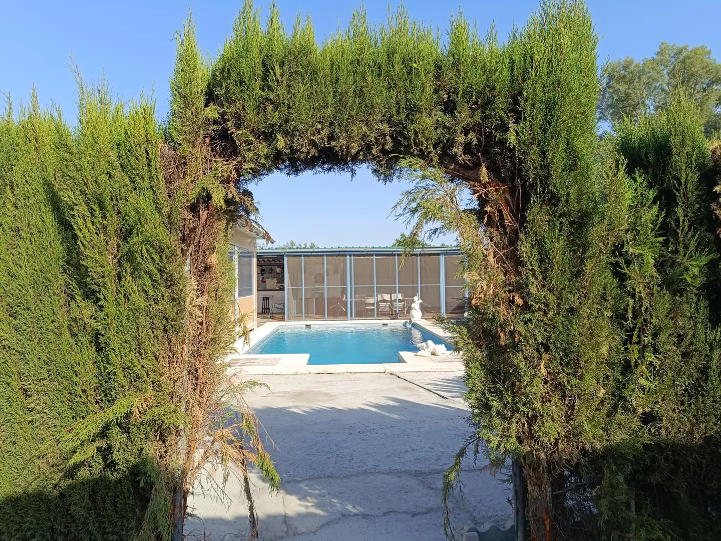 Piscina de Casa o xalet en venda en Carmona amb Aire condicionat, Jardí privat i Terrassa
