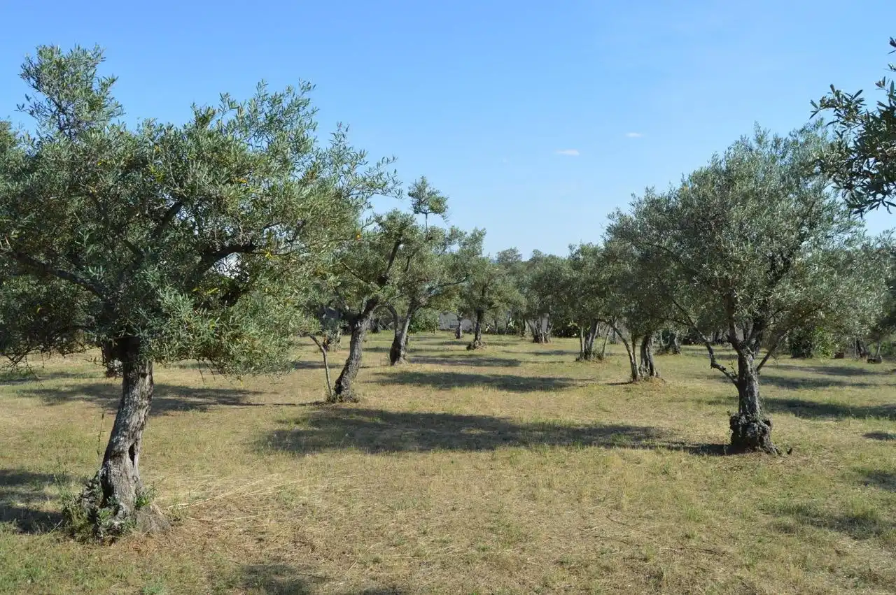 Finca rústica en venta en Mirabel con Aire acondicionado, Calefacción y Trastero