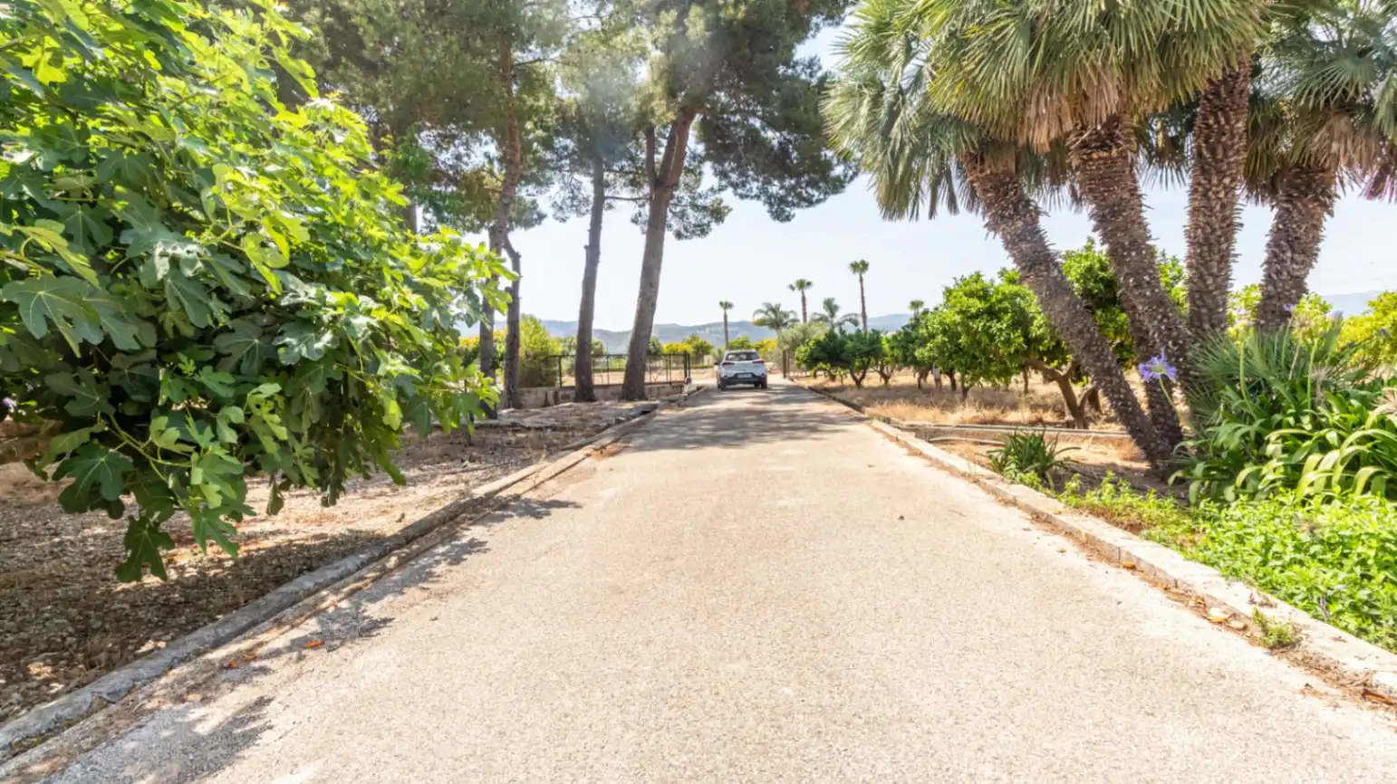 Vista exterior de Finca rústica en venda en Beniarbeig amb Jardí privat, Terrassa i Traster