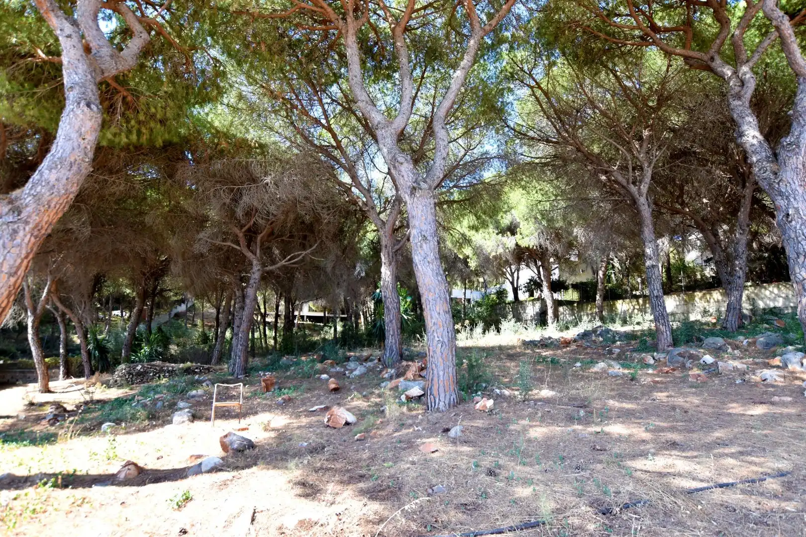 Casa o xalet en venda en Alhaurín de la Torre amb Jardí privat, Terrassa i Piscina comunitària